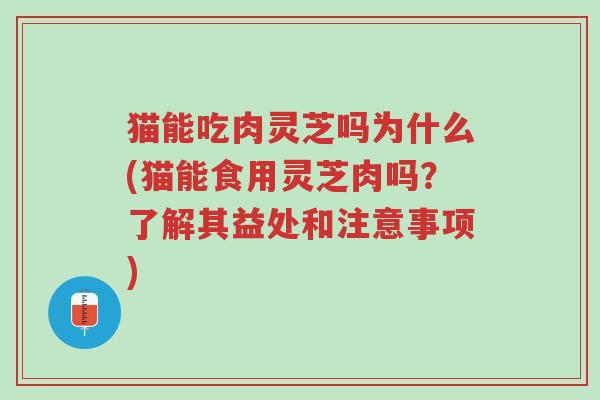 猫能吃肉灵芝吗为什么(猫能食用灵芝肉吗?了解其益处和注意事项)-第1张图片-超越 猫能吃肉灵芝吗为什么(猫能食用灵芝肉吗?了解其益处和注意事项)-第1张图片-超越