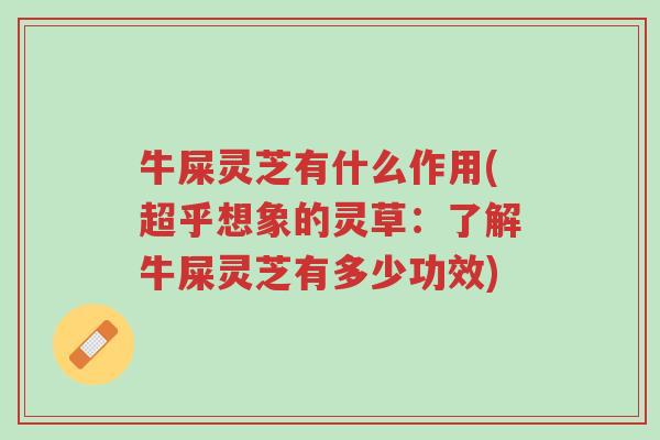 牛屎灵芝有什么作用(超乎想象的灵草:了解牛屎灵芝有多少功效)-第1张图片-超越 牛屎灵芝有什么作用(超乎想象的灵草:了解牛屎灵芝有多少功效)-第1张图片-超越