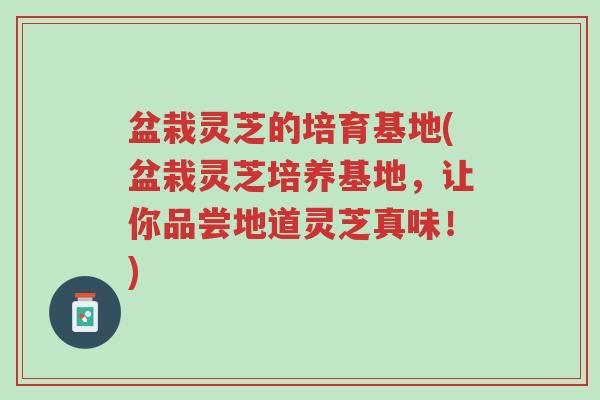 盆栽灵芝的培育基地(盆栽灵芝培养基地,让你品尝地道灵芝真味!)-第1张图片-超越 盆栽灵芝的培育基地(盆栽灵芝培养基地,让你品尝地道灵芝真味!)-第1张图片-超越