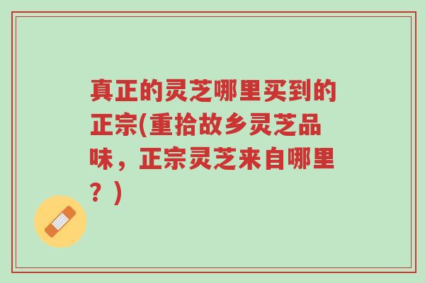 真正的灵芝哪里买到的正宗(重拾故乡灵芝品味,正宗灵芝来自哪里?)-第1张图片-超越 真正的灵芝哪里买到的正宗(重拾故乡灵芝品味,正宗灵芝来自哪里?)-第1张图片-超越