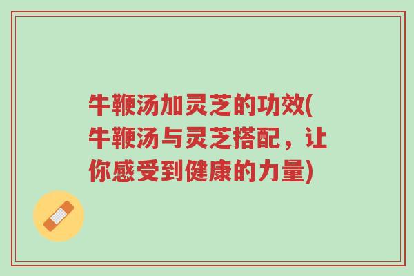 牛鞭汤加灵芝的功效(牛鞭汤与灵芝搭配,让你感受到健康的力量)-第1张图片-超越 牛鞭汤加灵芝的功效(牛鞭汤与灵芝搭配,让你感受到健康的力量)-第1张图片-超越