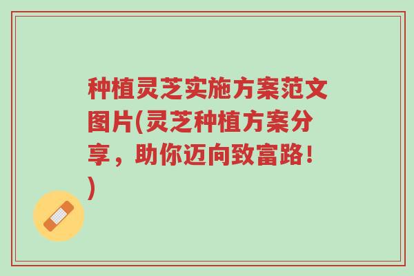 种植灵芝实施方案范文图片(灵芝种植方案分享,助你迈向致富路!)-第1张图片-超越 种植灵芝实施方案范文图片(灵芝种植方案分享,助你迈向致富路!)-第1张图片-超越