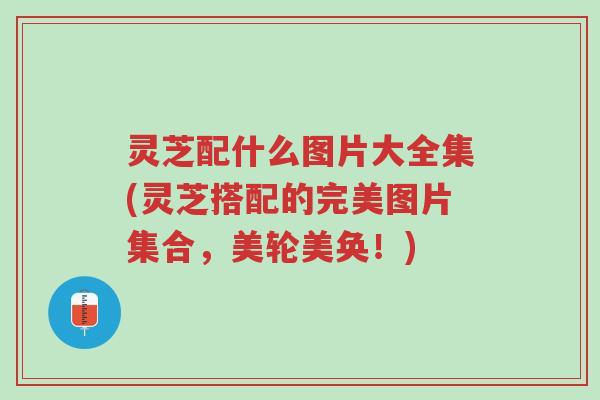灵芝配什么图片大全集(灵芝搭配的完美图片集合,美轮美奂!)-第1张图片-超越 灵芝配什么图片大全集(灵芝搭配的完美图片集合,美轮美奂!)-第1张图片-超越