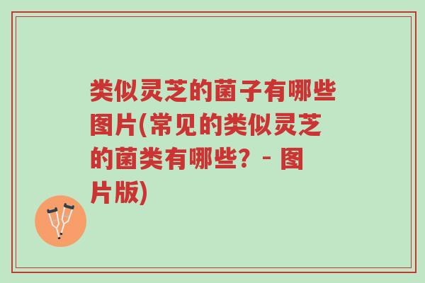 类似灵芝的菌子有哪些图片(常见的类似灵芝的菌类有哪些?- 图片版)-第1张图片-超越 类似灵芝的菌子有哪些图片(常见的类似灵芝的菌类有哪些?- 图片版)-第1张图片-超越