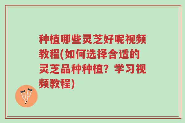 种植哪些灵芝好呢视频教程(如何选择合适的灵芝品种种植?学习视频教程)-第1张图片-超越 种植哪些灵芝好呢视频教程(如何选择合适的灵芝品种种植?学习视频教程)-第1张图片-超越