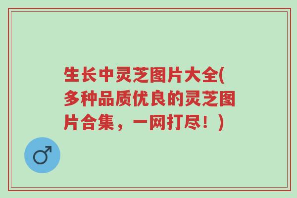 生长中灵芝图片大全(多种品质优良的灵芝图片合集,一网打尽!)-第1张图片-超越 生长中灵芝图片大全(多种品质优良的灵芝图片合集,一网打尽!)-第1张图片-超越