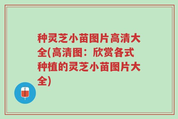 种灵芝小苗图片高清大全(高清图：欣赏各式种植的灵芝小苗图片大全)-第1张图片-超越