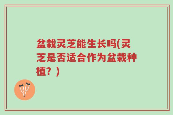 盆栽灵芝能生长吗(灵芝是否适合作为盆栽种植?)-第1张图片-超越 盆栽灵芝能生长吗(灵芝是否适合作为盆栽种植?)-第1张图片-超越