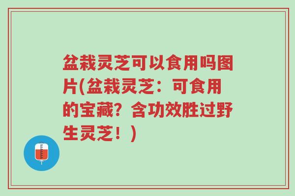 盆栽灵芝可以食用吗图片(盆栽灵芝:可食用的宝藏?含功效胜过野生灵芝!)-第1张图片-超越 盆栽灵芝可以食用吗图片(盆栽灵芝:可食用的宝藏?含功效胜过野生灵芝!)-第1张图片-超越
