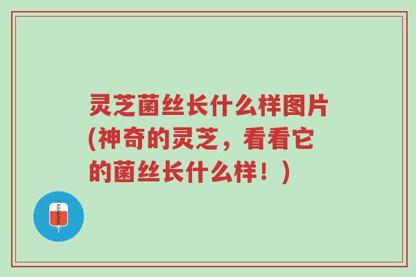 灵芝菌丝长什么样图片(神奇的灵芝,看看它的菌丝长什么样!)-第1张图片-超越 灵芝菌丝长什么样图片(神奇的灵芝,看看它的菌丝长什么样!)-第1张图片-超越