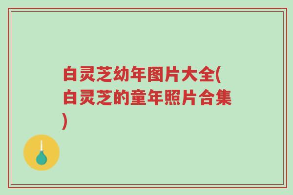 白灵芝幼年图片大全(白灵芝的童年照片合集)-第1张图片-超越 白灵芝幼年图片大全(白灵芝的童年照片合集)-第1张图片-超越