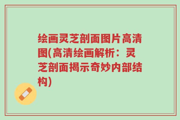 绘画灵芝剖面图片高清图(高清绘画解析:灵芝剖面揭示奇妙内部结构)-第1张图片-超越 绘画灵芝剖面图片高清图(高清绘画解析:灵芝剖面揭示奇妙内部结构)-第1张图片-超越