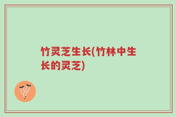 竹灵芝生长(竹林中生长的灵芝)-第1张图片-超越 竹灵芝生长(竹林中生长的灵芝)-第1张图片-超越