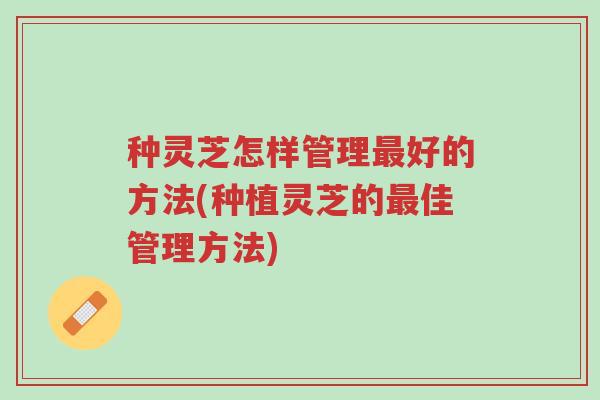 种灵芝怎样管理最好的方法(种植灵芝的最佳管理方法)-第1张图片-超越 种灵芝怎样管理最好的方法(种植灵芝的最佳管理方法)-第1张图片-超越