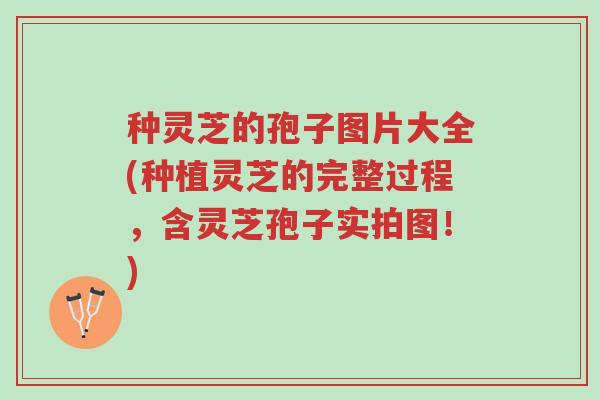 种灵芝的孢子图片大全(种植灵芝的完整过程，含灵芝孢子实拍图！)-第1张图片-超越
