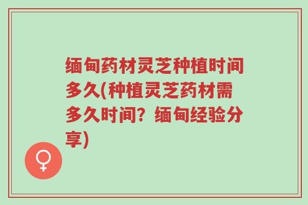 缅甸药材灵芝种植时间多久(种植灵芝药材需多久时间?缅甸经验分享)-第1张图片-超越 缅甸药材灵芝种植时间多久(种植灵芝药材需多久时间?缅甸经验分享)-第1张图片-超越