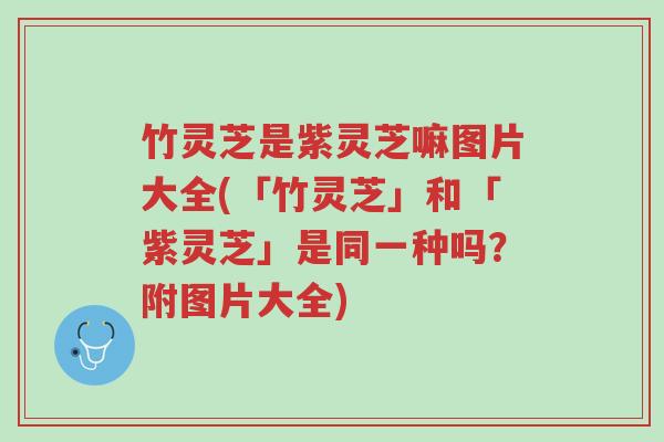 竹灵芝是紫灵芝嘛图片大全(「竹灵芝」和「紫灵芝」是同一种吗？附图片大全)-第1张图片-超越