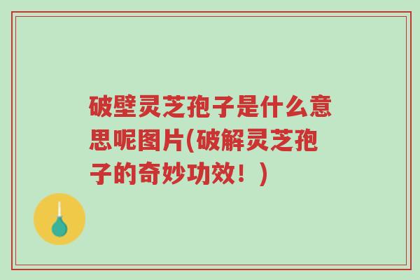 破壁灵芝孢子是什么意思呢图片(破解灵芝孢子的奇妙功效!)-第1张图片-超越 破壁灵芝孢子是什么意思呢图片(破解灵芝孢子的奇妙功效!)-第1张图片-超越