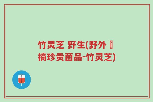 竹灵芝 野生(野外採摘珍贵菌品-竹灵芝)-第1张图片-超越 竹灵芝 野生(野外採摘珍贵菌品-竹灵芝)-第1张图片-超越