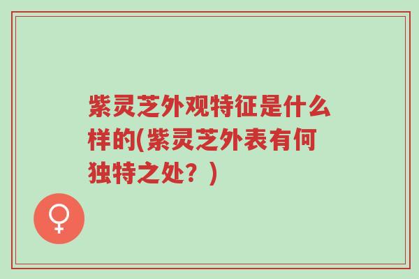 紫灵芝外观特征是什么样的(紫灵芝外表有何独特之处?)-第1张图片-超越 紫灵芝外观特征是什么样的(紫灵芝外表有何独特之处?)-第1张图片-超越