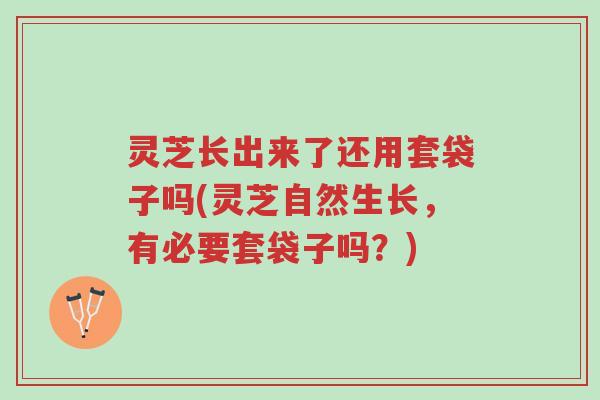 灵芝长出来了还用套袋子吗(灵芝自然生长，有必要套袋子吗？)-第1张图片-超越