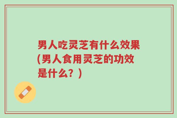 男人吃灵芝有什么效果(男人食用灵芝的功效是什么?)-第1张图片-超越 男人吃灵芝有什么效果(男人食用灵芝的功效是什么?)-第1张图片-超越