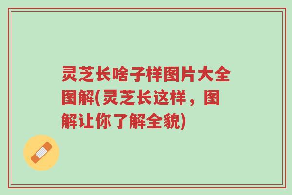 灵芝长啥子样图片大全图解(灵芝长这样,图解让你了解全貌)-第1张图片-超越 灵芝长啥子样图片大全图解(灵芝长这样,图解让你了解全貌)-第1张图片-超越