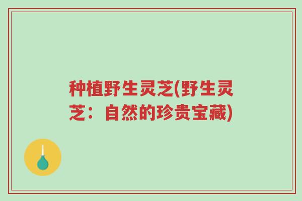 种植野生灵芝(野生灵芝:自然的珍贵宝藏)-第1张图片-超越 种植野生灵芝(野生灵芝:自然的珍贵宝藏)-第1张图片-超越