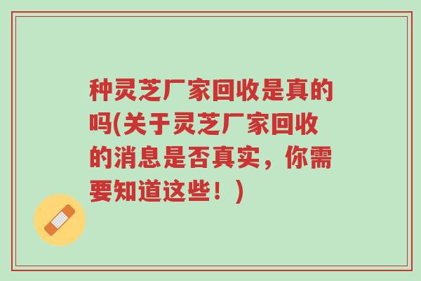 种灵芝厂家回收是真的吗(关于灵芝厂家回收的消息是否真实,你需要知道这些!)-第1张图片-超越 种灵芝厂家回收是真的吗(关于灵芝厂家回收的消息是否真实,你需要知道这些!)-第1张图片-超越
