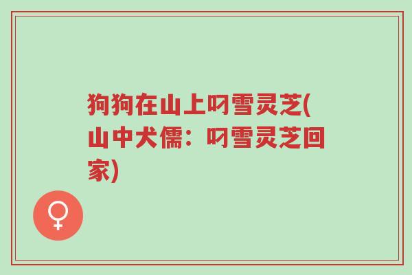 狗狗在山上叼雪灵芝(山中犬儒:叼雪灵芝回家)-第1张图片-超越 狗狗在山上叼雪灵芝(山中犬儒:叼雪灵芝回家)-第1张图片-超越