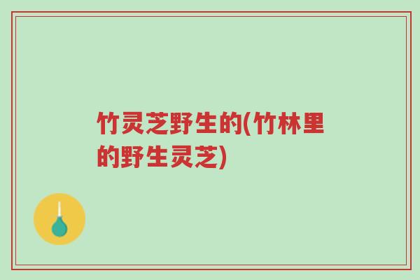 竹灵芝野生的(竹林里的野生灵芝)-第1张图片-超越 竹灵芝野生的(竹林里的野生灵芝)-第1张图片-超越