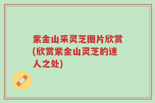 紫金山采灵芝图片欣赏(欣赏紫金山灵芝的迷人之处)-第1张图片-超越 紫金山采灵芝图片欣赏(欣赏紫金山灵芝的迷人之处)-第1张图片-超越