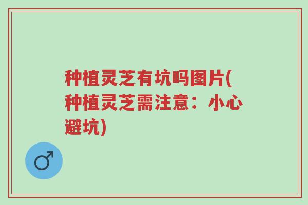 种植灵芝有坑吗图片(种植灵芝需注意:小心避坑)-第1张图片-超越 种植灵芝有坑吗图片(种植灵芝需注意:小心避坑)-第1张图片-超越