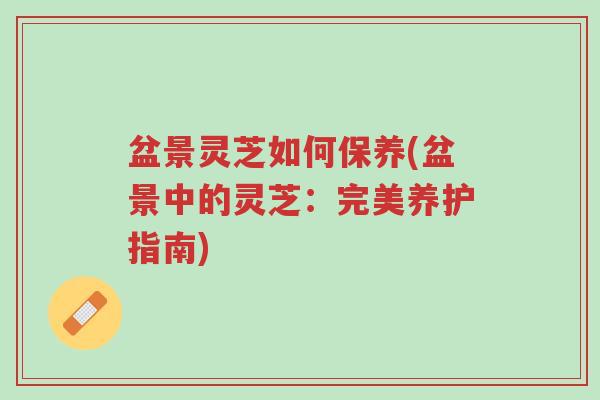 盆景灵芝如何保养(盆景中的灵芝:完美养护指南)-第1张图片-超越 盆景灵芝如何保养(盆景中的灵芝:完美养护指南)-第1张图片-超越