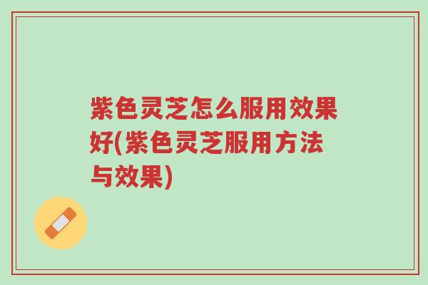 紫色灵芝怎么服用效果好(紫色灵芝服用方法与效果)-第1张图片-超越 紫色灵芝怎么服用效果好(紫色灵芝服用方法与效果)-第1张图片-超越