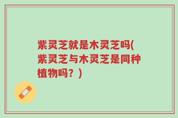 紫灵芝就是木灵芝吗(紫灵芝与木灵芝是同种植物吗?)-第1张图片-超越 紫灵芝就是木灵芝吗(紫灵芝与木灵芝是同种植物吗?)-第1张图片-超越