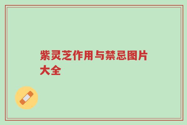 紫灵芝作用与禁忌图片大全-第1张图片-超越 紫灵芝作用与禁忌图片大全-第1张图片-超越