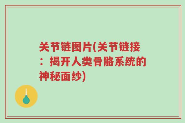 关节链图片(关节链接:揭开人类骨骼系统的神秘面纱)-第1张图片-超越 关节链图片(关节链接:揭开人类骨骼系统的神秘面纱)-第1张图片-超越