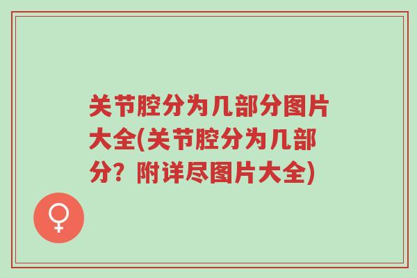 关节腔分为几部分图片大全(关节腔分为几部分?附详尽图片大全)-第1张图片-超越 关节腔分为几部分图片大全(关节腔分为几部分?附详尽图片大全)-第1张图片-超越
