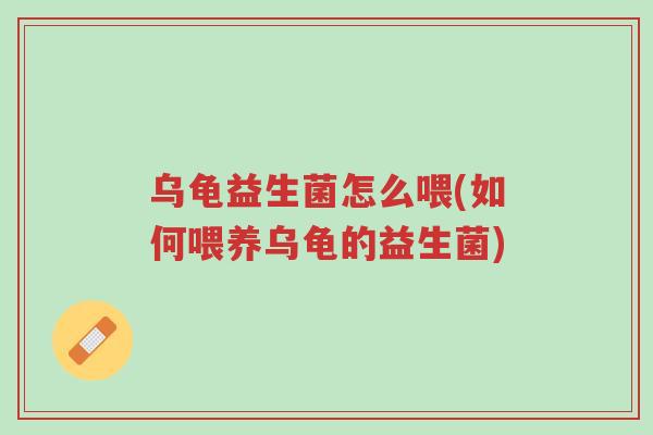乌龟益生菌怎么喂(如何喂养乌龟的益生菌)-第1张图片-超越 乌龟益生菌怎么喂(如何喂养乌龟的益生菌)-第1张图片-超越