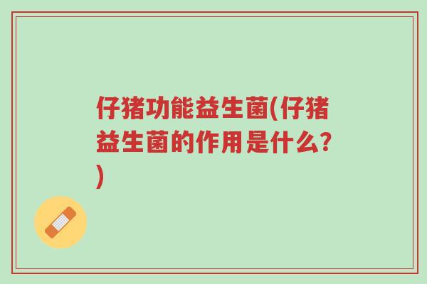 仔猪功能益生菌(仔猪益生菌的作用是什么?)-第1张图片-超越 仔猪功能益生菌(仔猪益生菌的作用是什么?)-第1张图片-超越