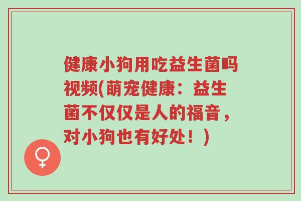 健康小狗用吃益生菌吗视频(萌宠健康:益生菌不仅仅是人的福音,对小狗也有好处!)-第1张图片-超越 健康小狗用吃益生菌吗视频(萌宠健康:益生菌不仅仅是人的福音,对小狗也有好处!)-第1张图片-超越