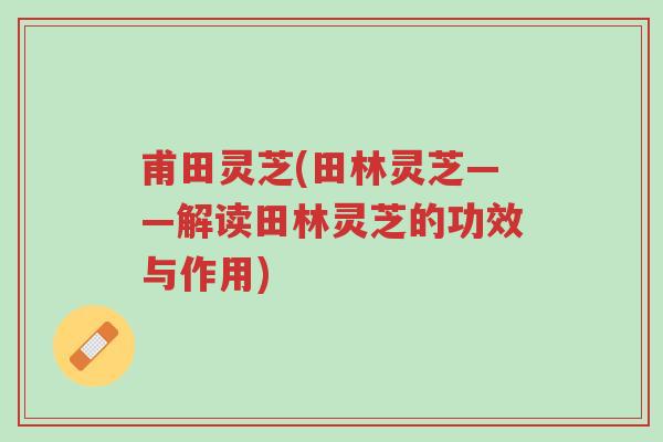 甫田灵芝(田林灵芝——解读田林灵芝的功效与作用)-第1张图片-超越 甫田灵芝(田林灵芝——解读田林灵芝的功效与作用)-第1张图片-超越