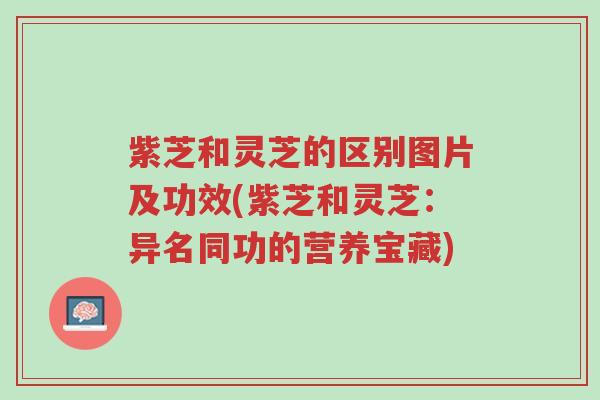 紫芝和灵芝的区别图片及功效(紫芝和灵芝:异名同功的营养宝藏)-第1张图片-超越 紫芝和灵芝的区别图片及功效(紫芝和灵芝:异名同功的营养宝藏)-第1张图片-超越
