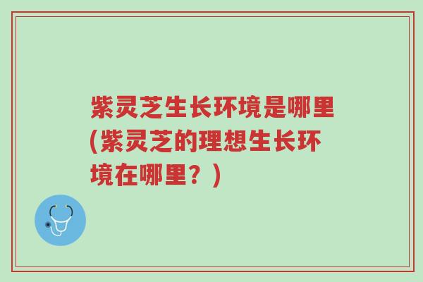 紫灵芝生长环境是哪里(紫灵芝的理想生长环境在哪里？)-第1张图片-超越