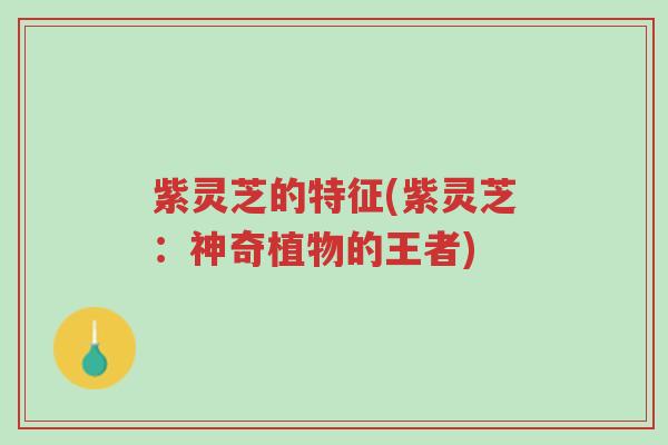 紫灵芝的特征(紫灵芝:神奇植物的王者)-第1张图片-超越 紫灵芝的特征(紫灵芝:神奇植物的王者)-第1张图片-超越