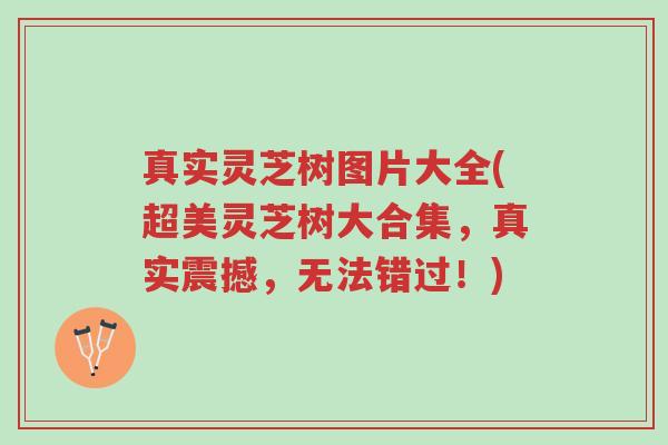 真实灵芝树图片大全(超美灵芝树大合集,真实震撼,无法错过!)-第1张图片-超越 真实灵芝树图片大全(超美灵芝树大合集,真实震撼,无法错过!)-第1张图片-超越