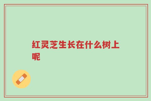 红灵芝生长在什么树上呢-第1张图片-超越 红灵芝生长在什么树上呢-第1张图片-超越