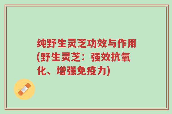 纯野生灵芝功效与作用(野生灵芝:强效抗氧化、增强免疫力)-第1张图片-超越 纯野生灵芝功效与作用(野生灵芝:强效抗氧化、增强免疫力)-第1张图片-超越