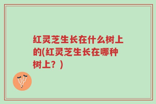 红灵芝生长在什么树上的(红灵芝生长在哪种树上?)-第1张图片-超越 红灵芝生长在什么树上的(红灵芝生长在哪种树上?)-第1张图片-超越